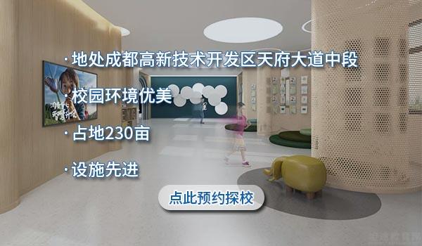成都美视国际学校 ：成都美视国际学校一大波名校录取请查收！