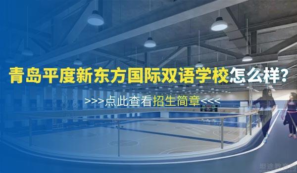 青岛平度新东方双语学校 ：青岛平度新东方双语学校校园环境怎么样？