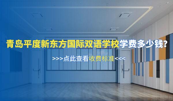 青岛平度新东方双语学校 ：青岛平度新东方双语学校校园环境怎么样？