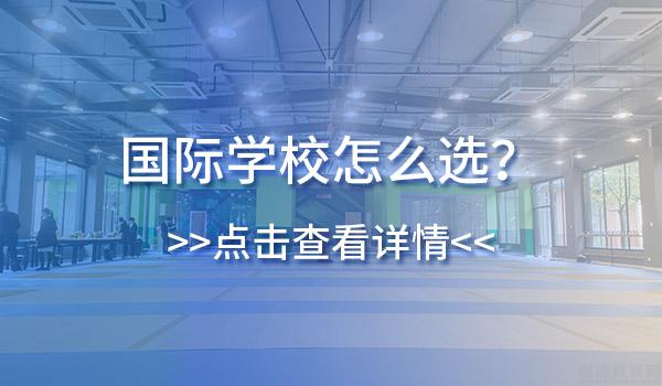 养一个“国际娃”有多烧钱？为什么烧钱？