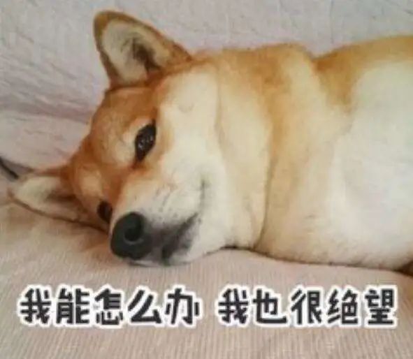 最新消息丨CB正式通知取消中国大陆学生8月香港SAT考试资格