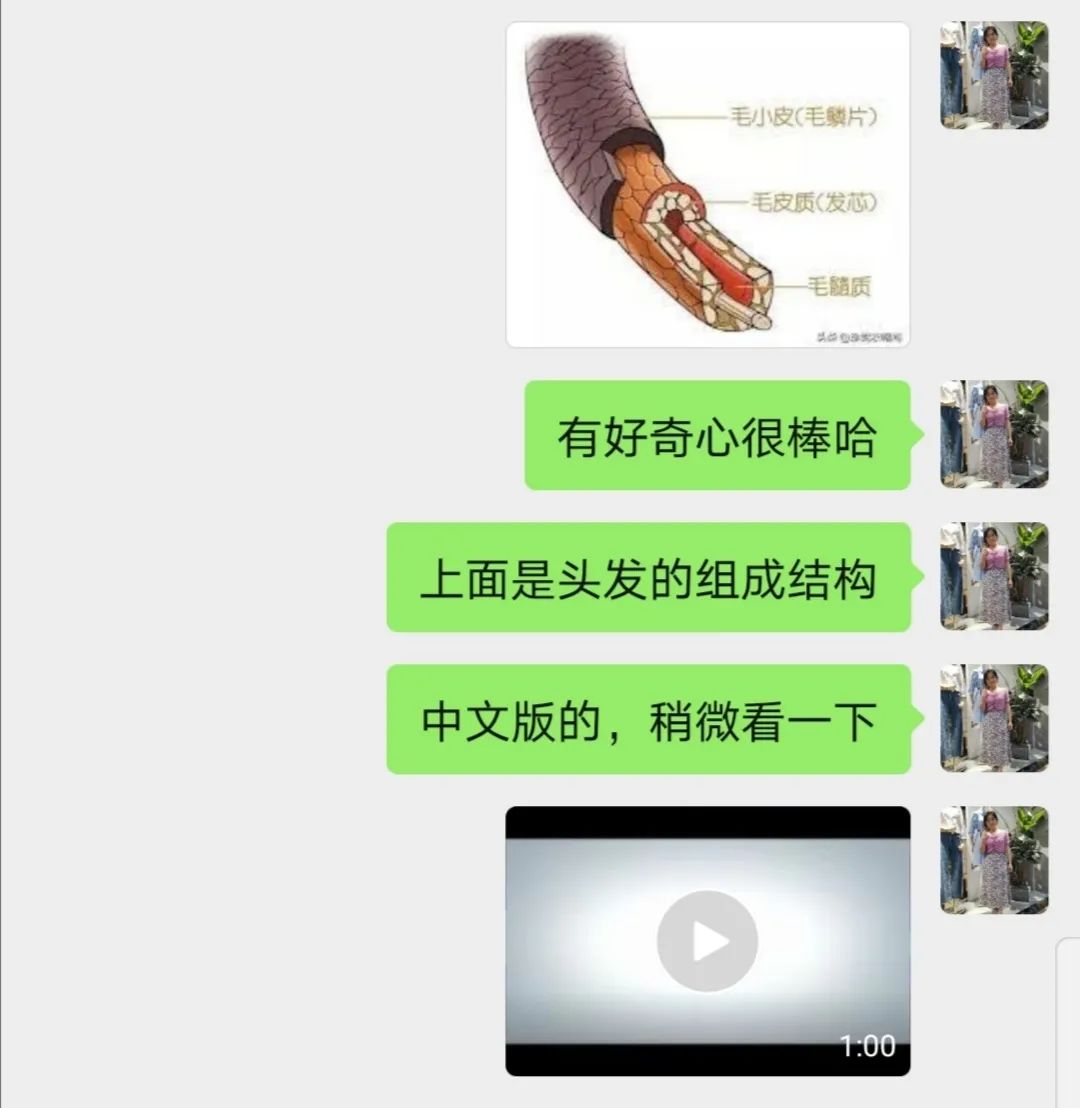 国际高中 - 老师他只是一个动画啊!--暑假那些无处安放的好奇心