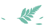 最新消息!3月8日,英国学校陆续恢复开学!解封将分四步走!
