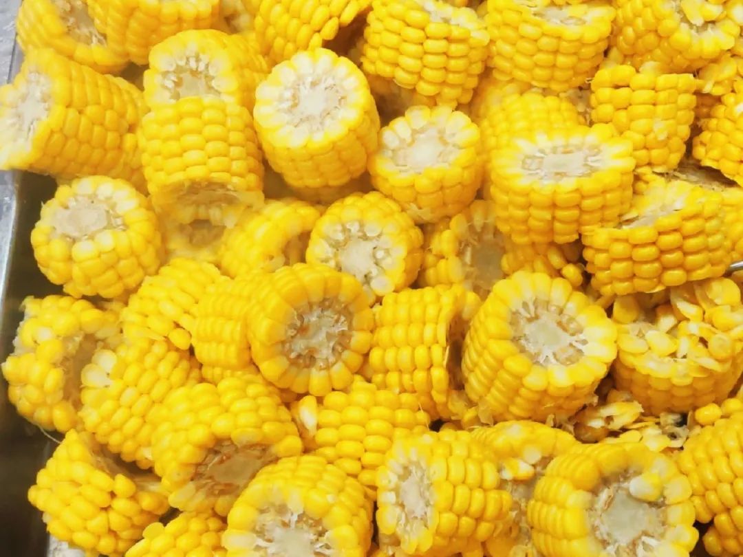 微信图片_20210306104803.jpg 种下了春天,收获了美食,环保与美味更相配! - 惠州培文