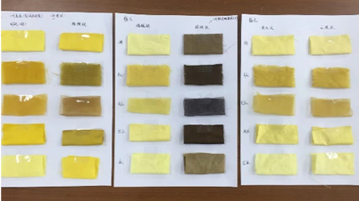 艺术与环保研学课|留住千奇百怪的自然