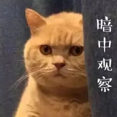 臻分享丨惊了!原来招生官还干这种事!