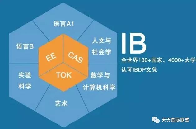 IB课程和AP、Alevel各有什么优势?