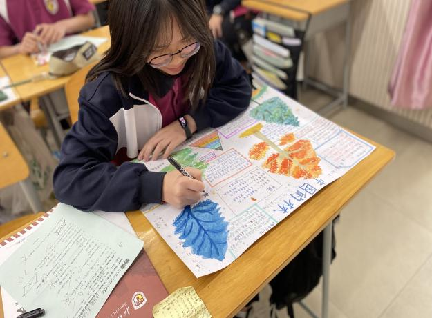 (校园动态)趁风华正茂 探天地奥妙 - 北外附校三水外国语学校