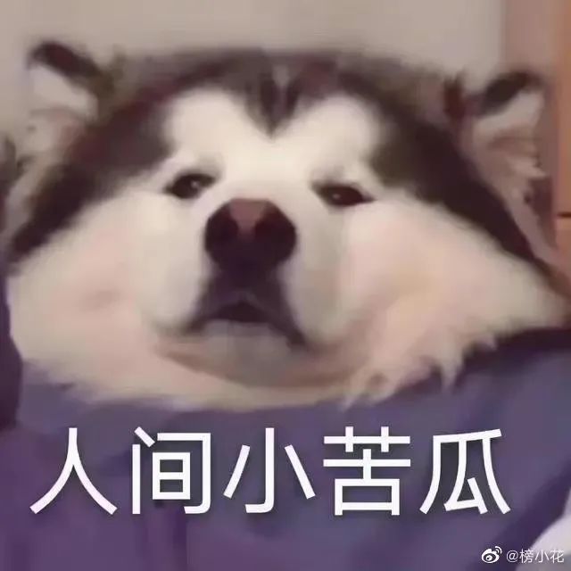 华威大学WMG学院开放申请!突然涨分,学生直呼高攀不起!