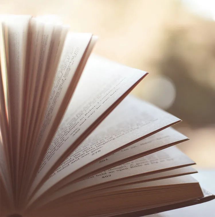 LEH Booklist 霍利斯的学生在看什么书？ - LEHF霍利斯国际学校