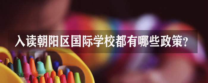 入读朝阳区国际学校都有哪些政策?