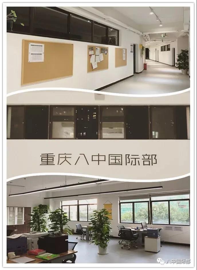 盘点重庆公立学校国际部录取offer情况!