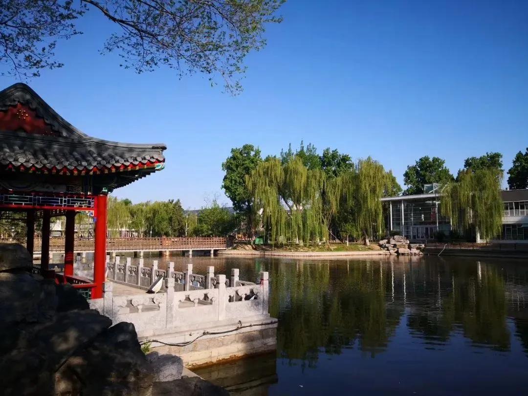 北京第一梯队的国际学校有什么特点?五所公办校国际部介绍