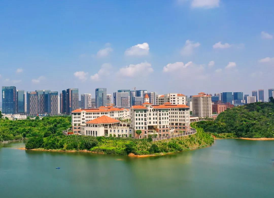 2022年深圳外国语湾区学校招生简章介绍