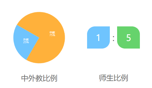 上海外国语大学附属双语学校介绍