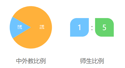 上海卡迪夫学校介绍