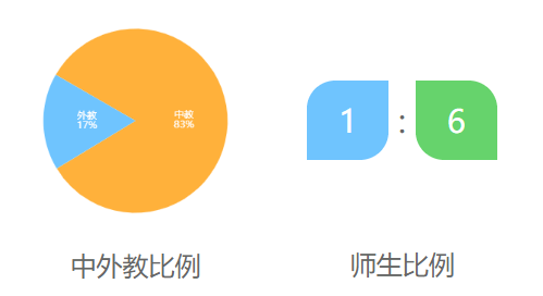 上海卢湾高级中学介绍