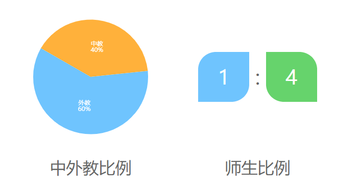 城市绿洲国际学校介绍
