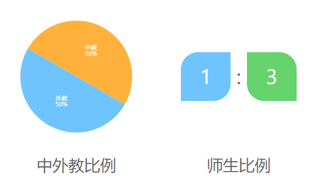 宝莎韬优国际学校介绍