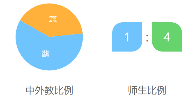 广州南方外籍人员子女学校介绍