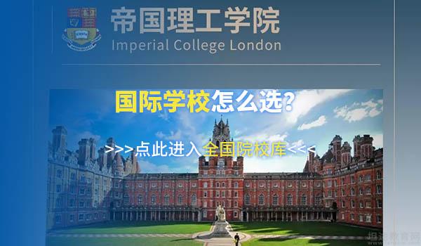 “令人心动的offer”来了！国际学校“大丰收”
