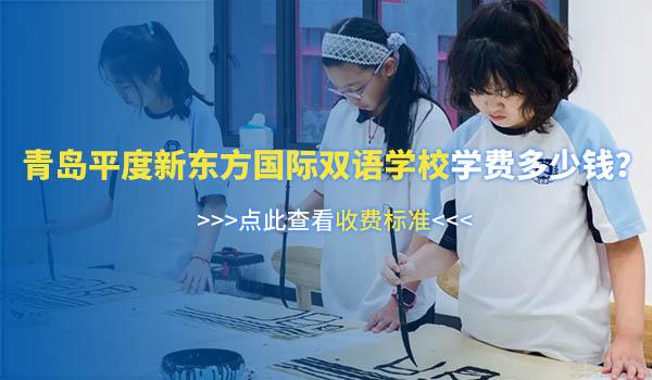 青岛平度新东方双语学校 ：青岛平度新东方双语 - 中国文化思维课程介绍