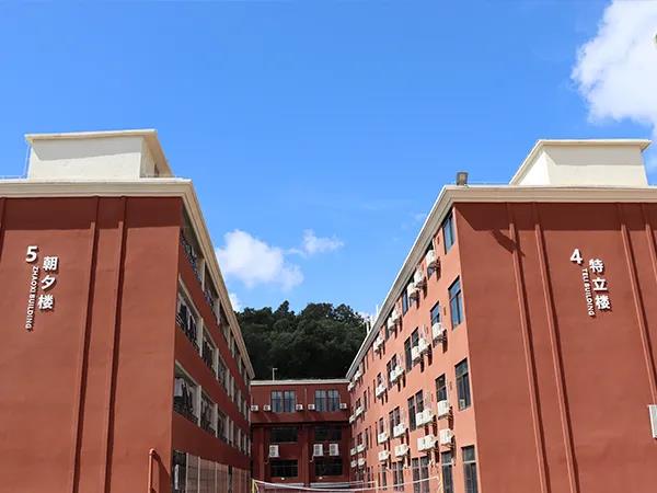 深圳龙华区国际化学校大盘点!