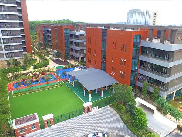 深圳龙华区国际化学校大盘点!