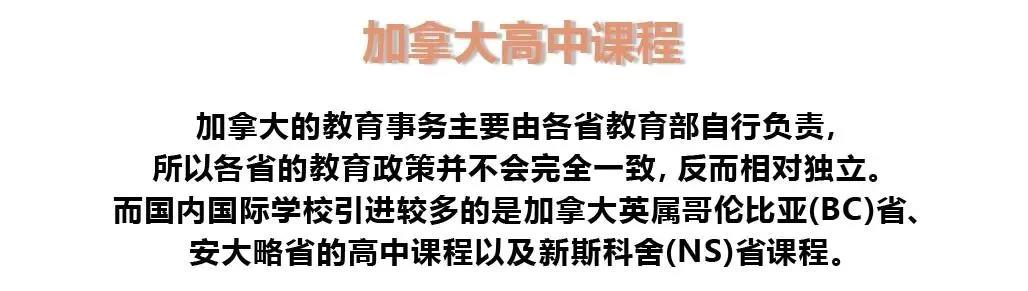 为什么国际学校这么受欢迎?吴尊计划带儿女到中国读书！                