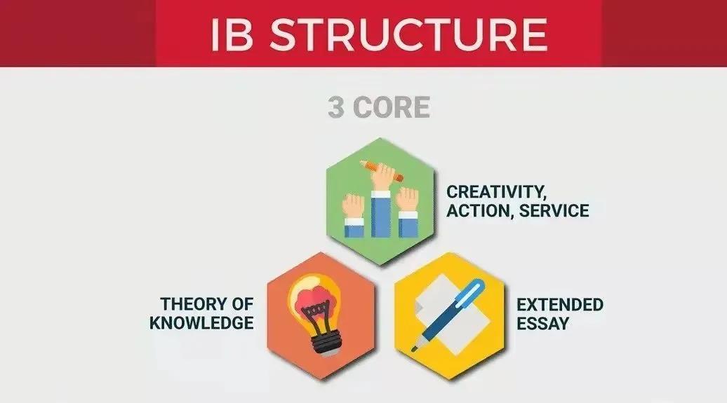 上海领跑全国！IB国际学校大盘点！                