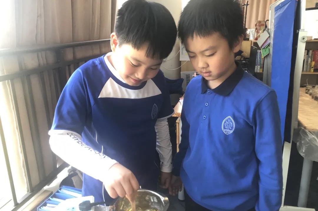 常州威雅小学部课外课程——芳香疗法 Aromatherapy ECA                