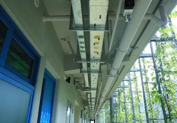 深圳国际交流学院建设项目获评“国家优质工程奖”及“中国安装之星”