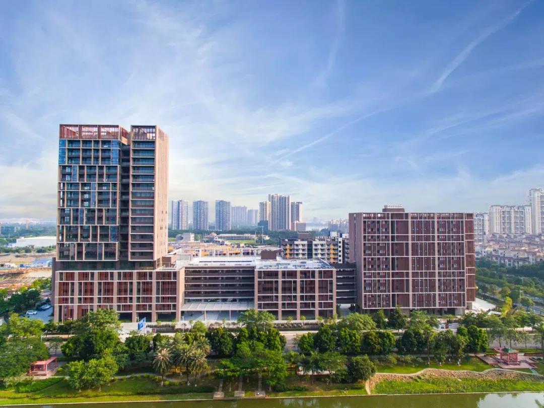 广东顺德德胜学校好吗?湾区IB名校走向世界!