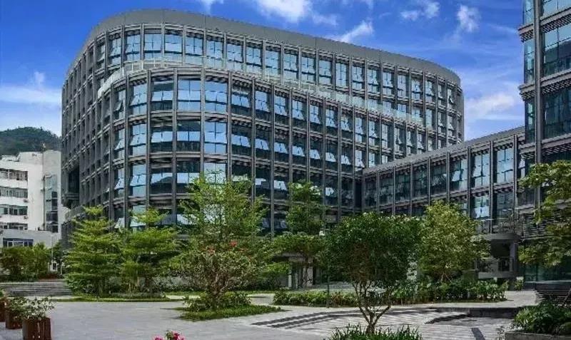 国际学校体育课程设置介绍,哪些国际学校有体育活动?