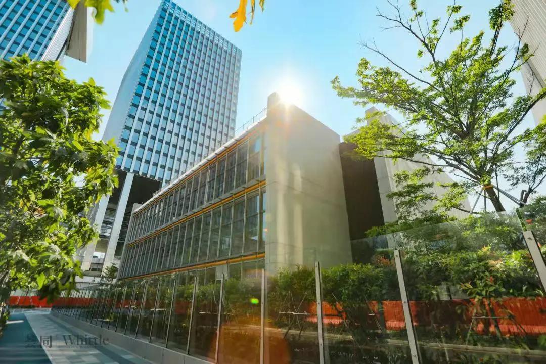 哈罗、蛇口国际、清澜山学校等可以预约探校！                