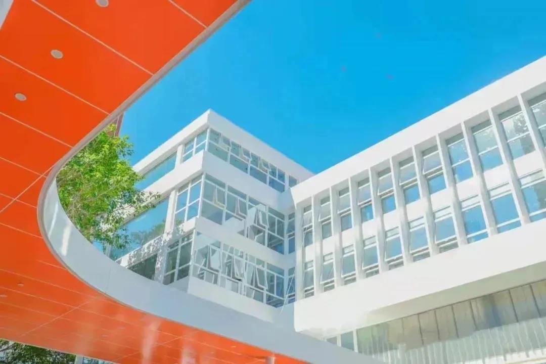 深国交、贝赛思、万科梅沙等国际化学校入学考如何提前准备?