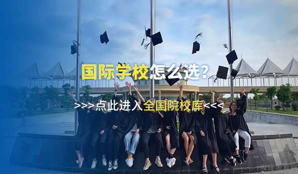 治理“公参民”学校于国际学校有何影响？