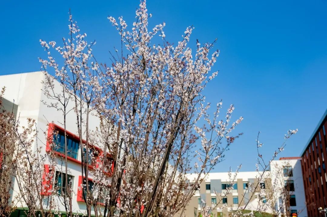 居家防疫,中学生如何做好心理调适?
