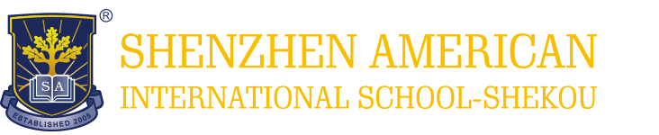 深圳深美国际学校