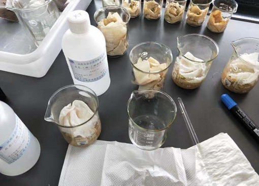 上海七宝德怀特高级中学课堂氛围和体验如何?