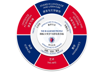 上海七宝德怀特高级中学学校具体的课程设置?
