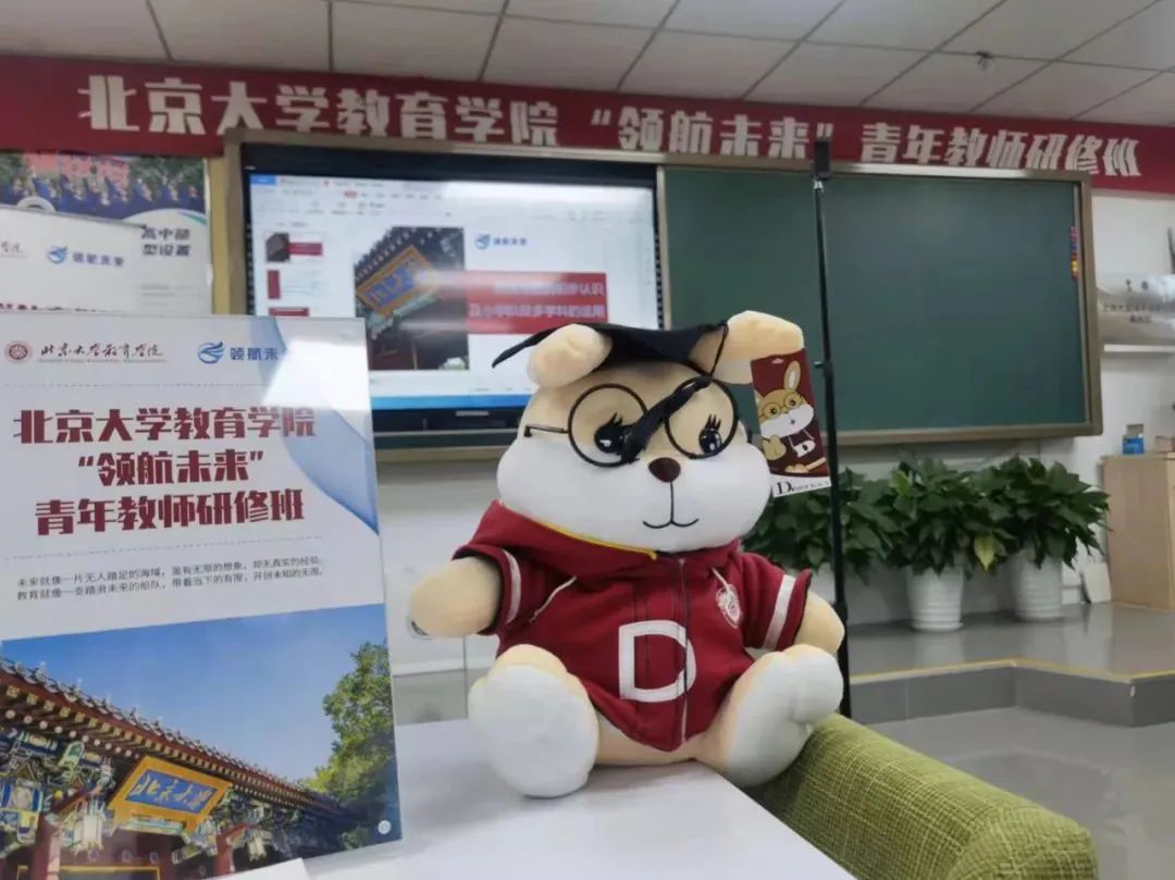 北京大学教育学院国际化学校“领航未来”青年教师研修班（第二期）报名正式启动！                