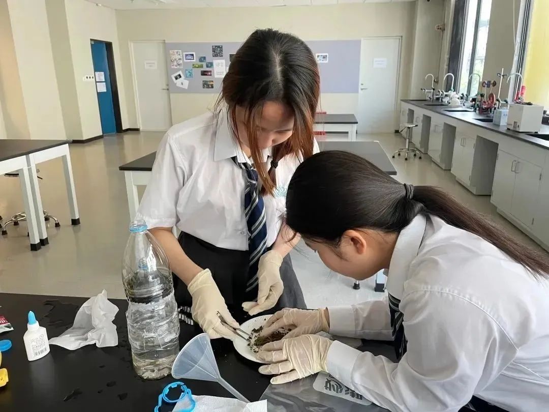 北京市顺义区诺德安达学校校长带你了解国际化新校！                