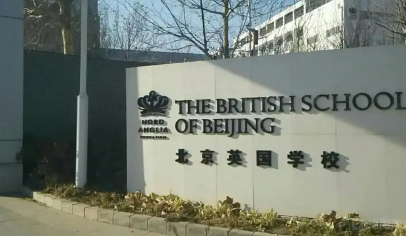国际化学校的发展趋势有何新变化?新趋势确定！                