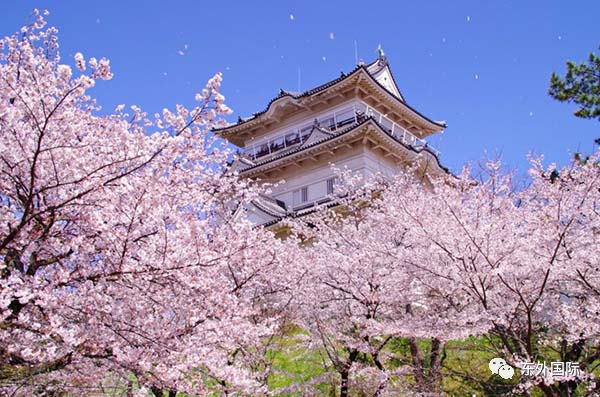 东外国际 | 又一优秀学子斩获UCL录取，名校梦成真！ - 东外国际