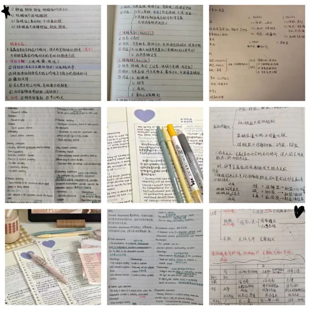 上海枫叶国际学校网课期间我们的“沉浸式”学习                