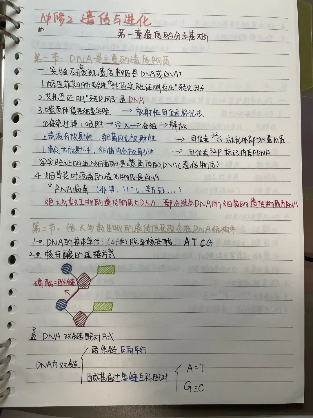 协和双语教科学校作业巧设计，云上展风采 ！                