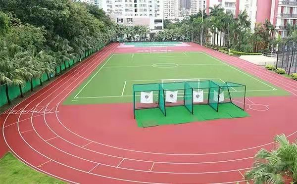DSE考试有何优势?深圳开设香港DSE课程的学校有有哪些呢?                