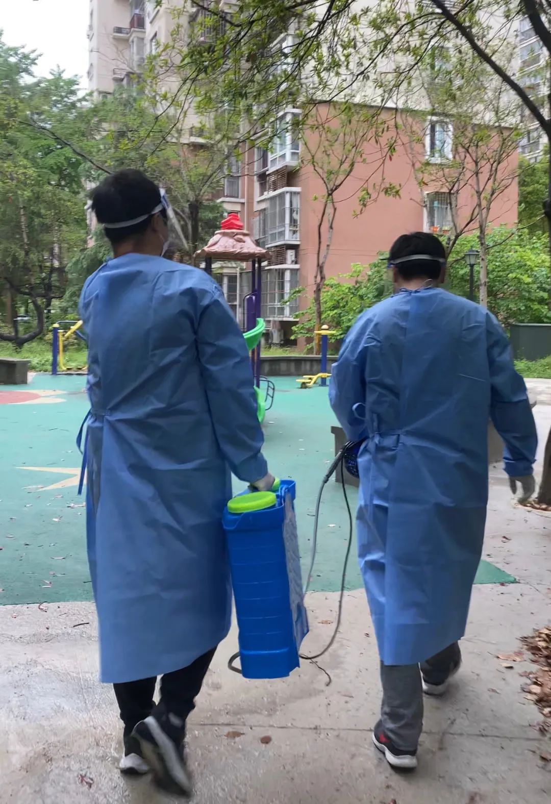 上海枫叶国际学校学子柠檬树下的我要加油 ！                