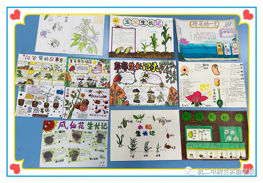 树兰实验学校小学部“科学嘉年华”                